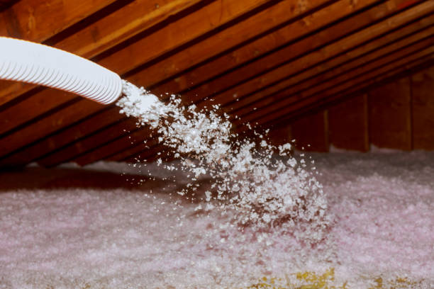 Best Blown-in Insulation  in Esko, MN